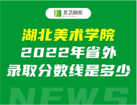 湖北美术学院2020年省外录取分数线是多少？如何填报志愿