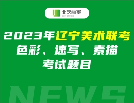 2023年辽宁美术联考色彩、速写、素描考试题目