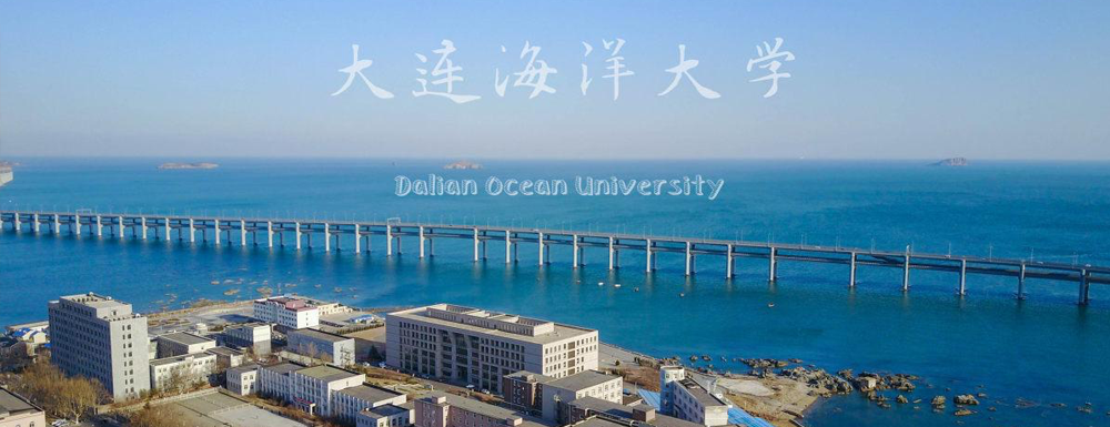 扬帆起航！大连海洋大学2024年采用各省美术统考成绩