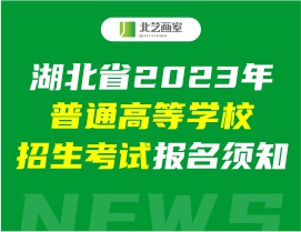 湖北省2023年普通高等学校招生考试报名须知